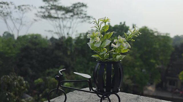 Decorative tricycle planter with greenery on rooftop, outdoor serenity decorative metal garden decor