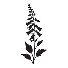 A black silhouette of a foxglove plant flat vector art Silhouette image of a Foxglove flower stem vector isolated illustration © Jabed