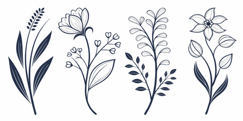 Detailed sketch of a eucalyptus plant with distinct leaves and branches © Sp