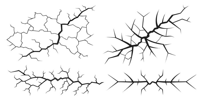 Intricate sketches of a spider and its web with detailed anatomy lines.