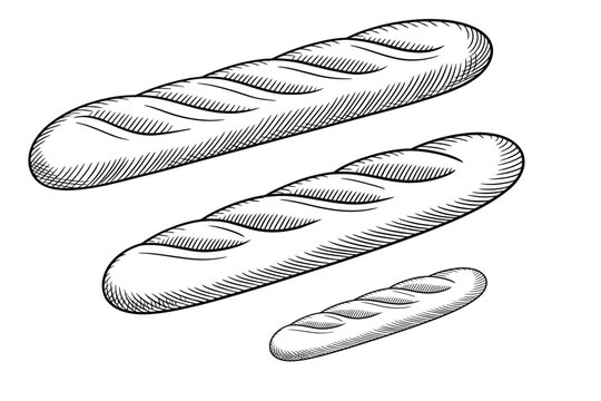 Baguette vintage vector engraving illustration, hand drawn French bread loaf in black line style for bakery branding, cafe menu, artisan food design, and retro culinary graphics