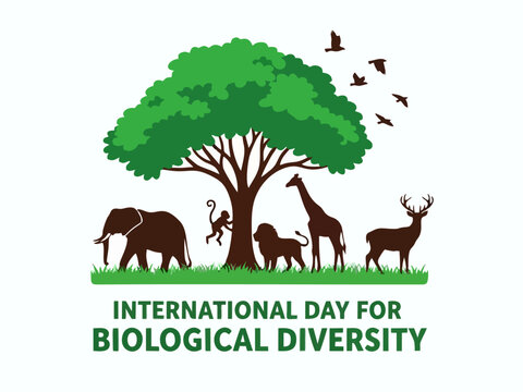 International Day for Biological Diversity Banner with Tree and Wildlife Silhouettes