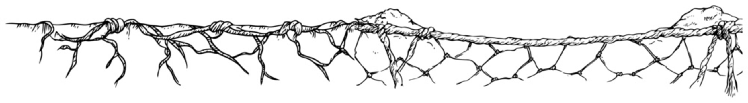 Tangled root bridge connecting land masses with hanging vines in hand drawn doodle style