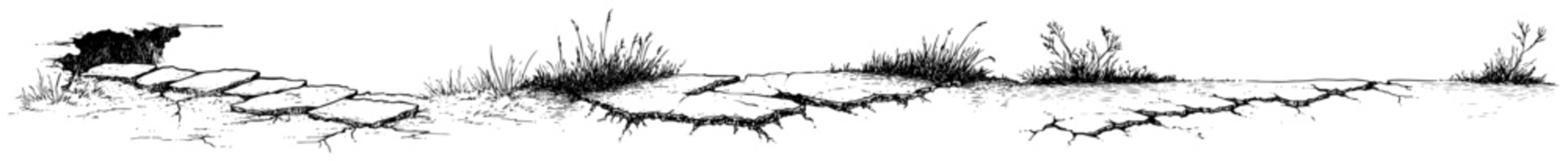 Stone path across cracked earth and wild grass in sketch style