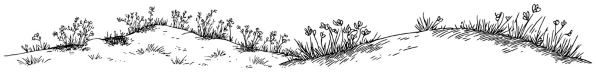 Grassy hills with wildflowers and meadow landscape in hand drawn engraving style © Kaz