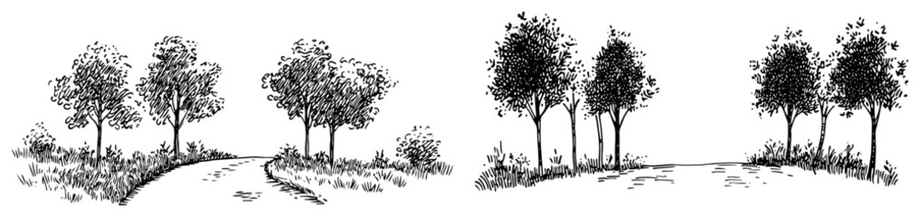 Trees growing along a rural path in panoramic landscape scenes hand drawn doodle style © Kaz