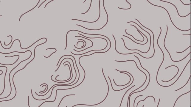 Topographic Contour Lines on Grey Background abstract