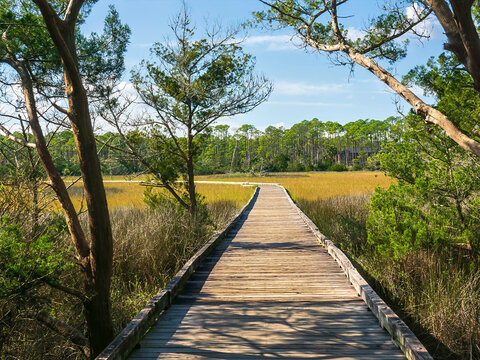 Perspective of a boardwalk in shadow and sunlight in Tolomato River Boardwalk Preserve, a marshy conservation area in suburban St. Augustine, on an autumn afternoon in Florida. Environmental motifs.