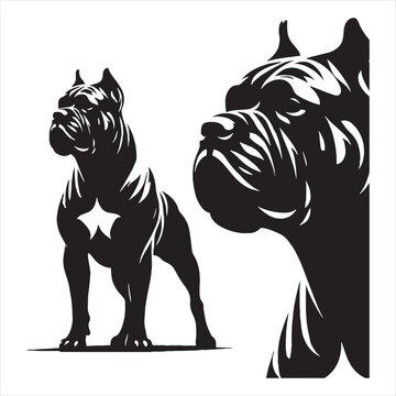 Cane Corso Dog Powerful Loyal Italian Mastiff Breed Known for Strength Intelligence Protective Nature Family Guardian Confident Personality Muscular Body Fearless Attitude Excellent Guard Dog.