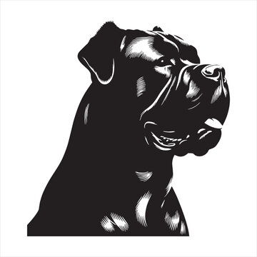 Cane Corso Dog Powerful Loyal Italian Mastiff Breed Known for Strength Intelligence Protective Nature Family Guardian Confident Personality Muscular Body Fearless Attitude Excellent Guard Dog.