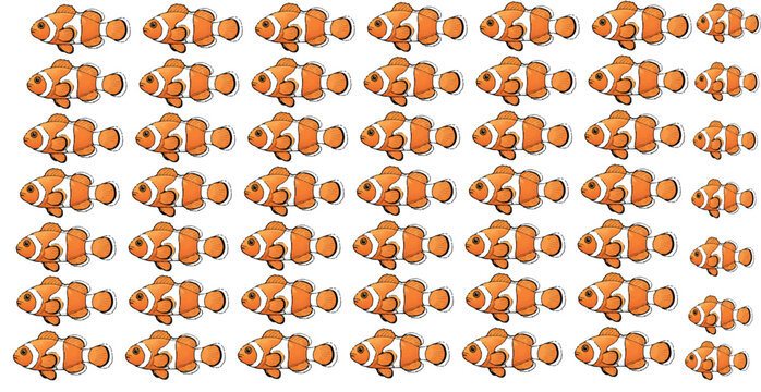 A clownfish is a small, colorful marine fish known for its bright orange body with white stripes and its symbiotic relationship with sea anemones.