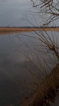 reflection in water