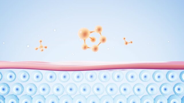 Human skin layer. Human skin cells.Used for cosmetics advertisements, skin care, beauty treatments, etc. 3d rendering.