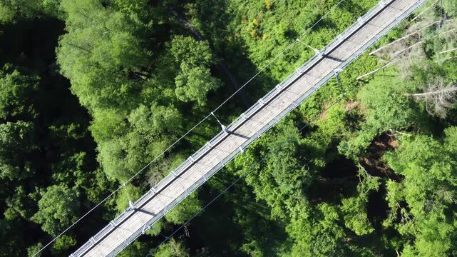 Aerial Overhead View of Geierlay Bridge End near Forest Clearing, Germany