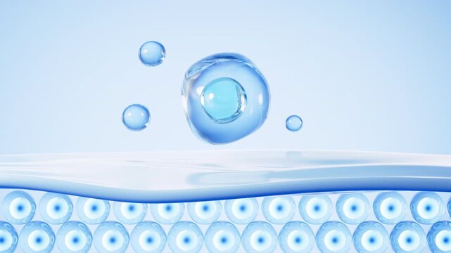 Human skin layer. Human skin cells.Used for cosmetics advertisements, skin care, beauty treatments, etc. 3d rendering.