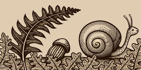 A detailed sketch depicts a snail amidst ferns mushrooms and foliage © Babita