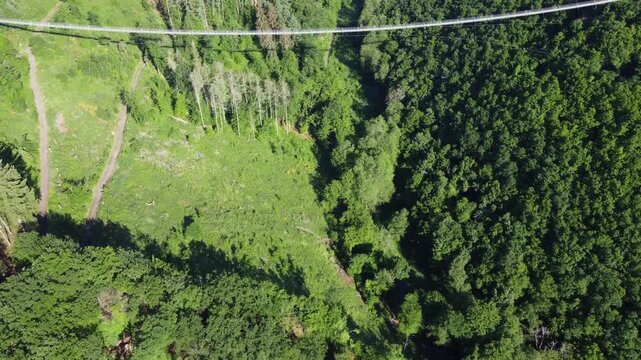 Aerial Drone View of Geierlay Bridge over Forest with Logged Slope, Germany