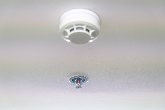 Smoke Detector and Fire Sprinkler System