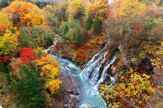 Aerial view of beautiful Shirahige Waterfalls tumbling down into Biei River with vibrant fall colors on the cliff, in Shirogane Hot Spring Resort in Biei, Hokkaido, Japan
Beautiful scenery of Japanese
