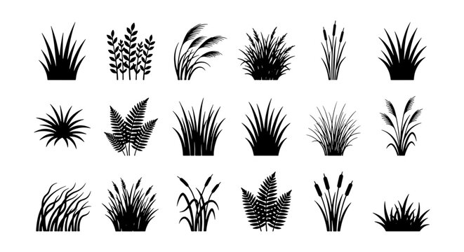 Black grass silhouettes collection, 18 botanical plant elements vector set, wild meadow greenery icons, swamp reeds and garden foliage tufts