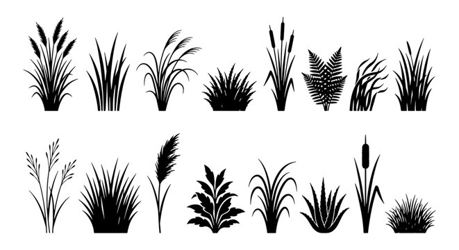 Black grass silhouette collection, 15 marsh and meadow plant vector elements, botanical reed and cattail icons for landscape design