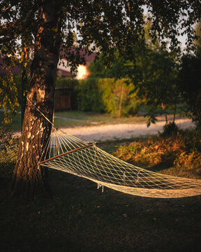 Hammock hanging in a sunny backyard at golden hour