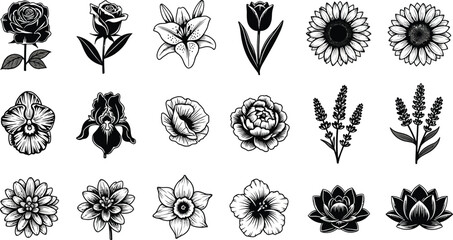 Collection of black and white floral flower rose lily tulip © hr graphics