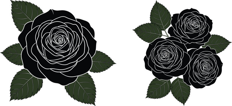 Black roses with green leaves, vector illustration.