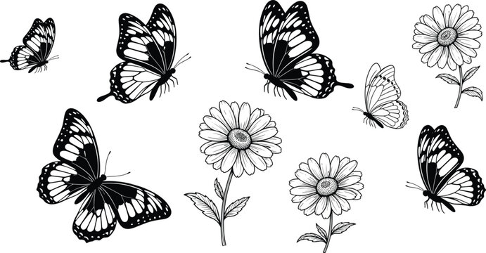 Collection of black and white butterflies and daisies on transparent background.