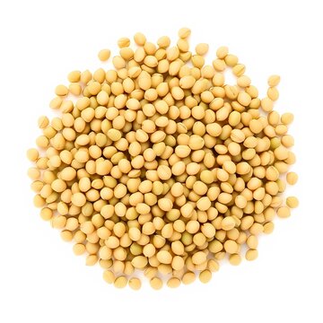 yellow split peas