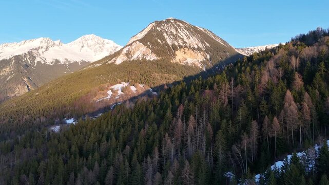 Aerial view French alps by winter with pine trees and snowy mountains