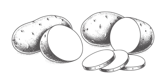 Vintage of whole and sliced potatoes white