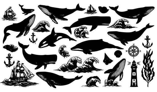 Vintage whale and ocean wave hand drawn engraving vector set