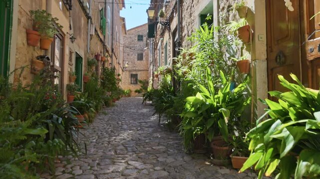 Narrow stone street in Valldemossa village, Mallorca with many green plants, beautiful Mediterranean architecture. Charming Carrer Rectoria alleyway decorated with flower pots in Mallorca, Valldemossa