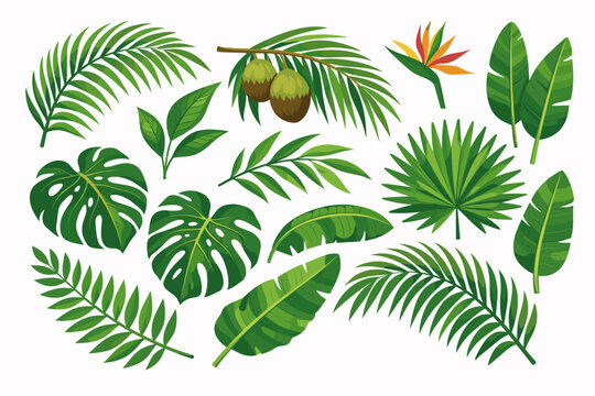 Collection of tropical watercolor leaf illustrations featuring lush jungle plants, green palm fronds, monstera foliage, banana leaves, and bird of paradise flowers for exotic botanical designs.