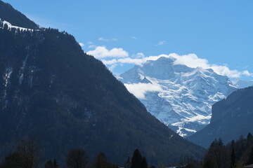 Obraz premium Jungfrau Mountain View from Hohematte Park, Interlaken, Switzerland – Scenic Swiss Alps Landscape