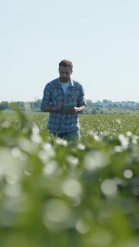 A farmer is carefully inspecting crops in a bright and sunny field on a beautiful day