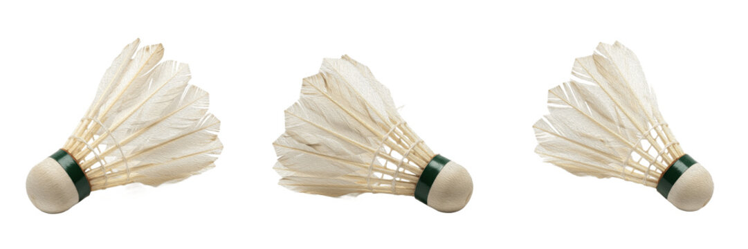 Set of Professional Feather Badminton Shuttlecocks isolated on transparent PNG background for sports asset design