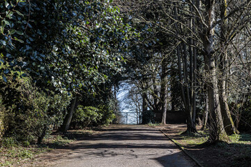 Fototapeta premium road in the park