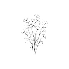 Fototapeta premium Elegant Minimalist Botanical Line Art Illustration with Delicate Wildflowers