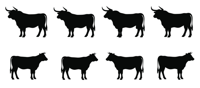 Minimalist black silhouettes of cattle including cows and bulls arranged in rows for farm, livestock, and design illustration use