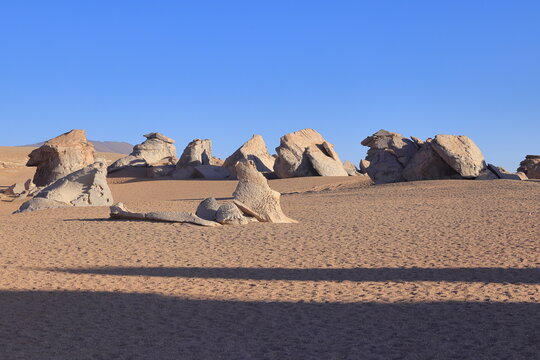 &Aacute;rbol de piedra, San pablo de lip&eacute;z municipality, Andes, Bolivia