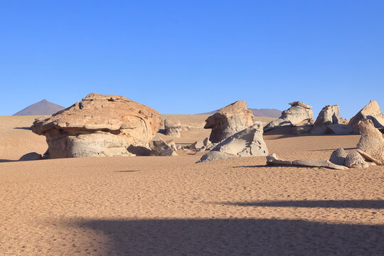 &Aacute;rbol de piedra, San pablo de lip&eacute;z municipality, Andes, Bolivia