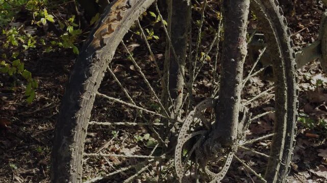 Close details of a rusty muddy bicycle recovered from a canal representing environmental pollution and urban decay.