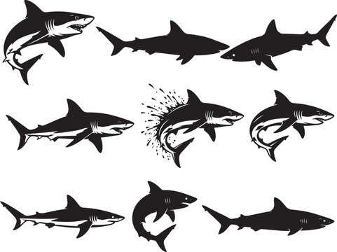 Fast Mako Shark Swimming in Powerful Streamlined Motion