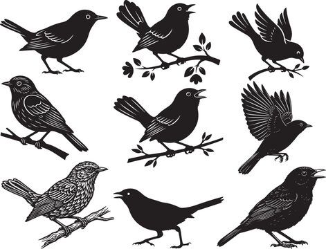 Songbird Nightingale Perched in Calm Position