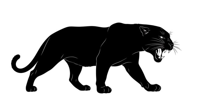 Silhouette of a black panther, walking and snarling, against a white background