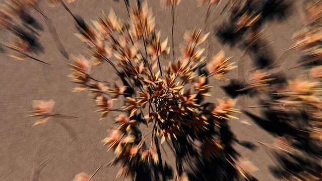 Dynamic autumn foliage with intense radial blur on a textured ground