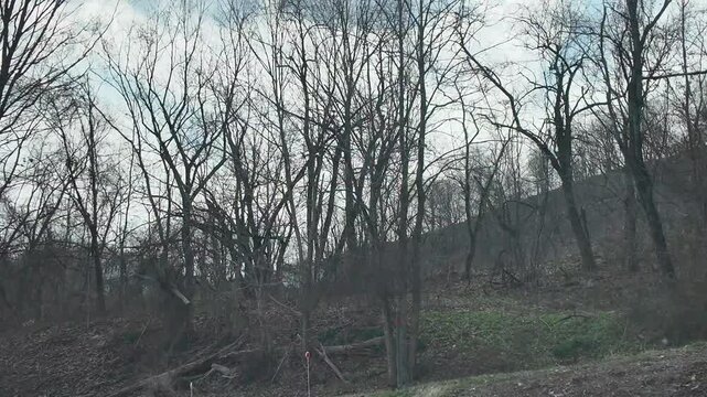 Spring Drive Past Houses and Trees in Appalachia