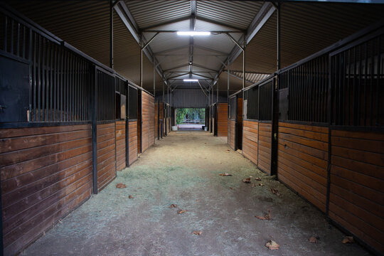 Empty horse stable aisle with wooden stalls in barn interior